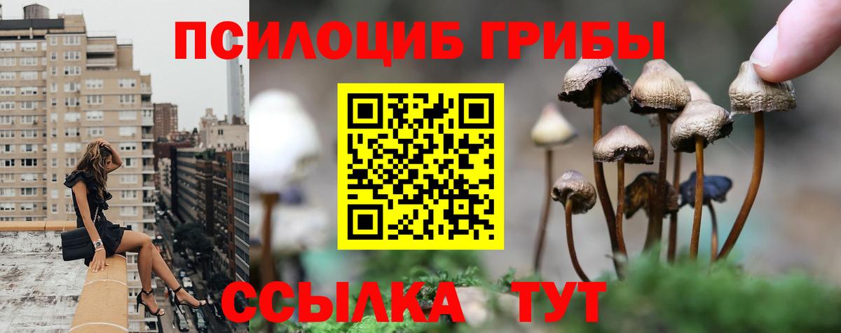 Галлюциногенные грибы Psilocybine cubensis  Вход с VPN  Нижний Тагил 